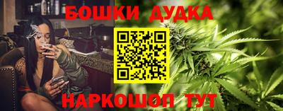 тгк Аша
