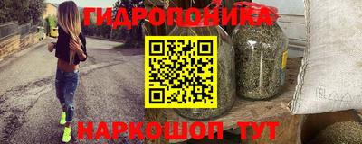 тгк Аша