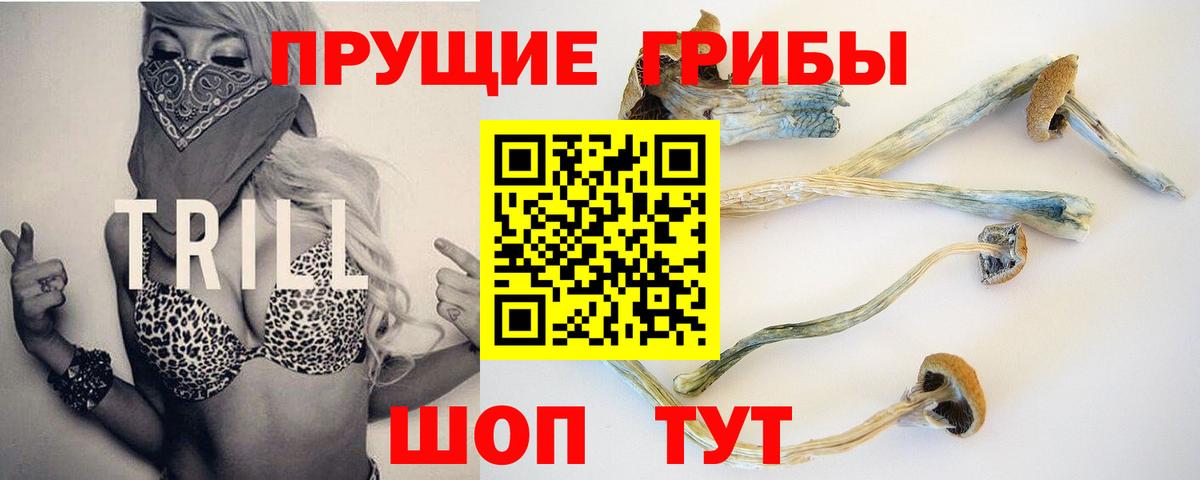 Псилоцибиновые грибы мухоморы  Галлюциногенные грибы Cubensis  купить наркотик  Азнакаево  Вход с VPN 